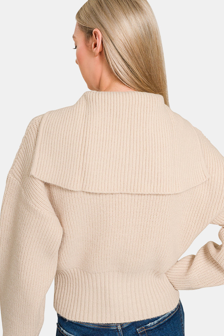 Collared Zip Up Sweater / BROWN